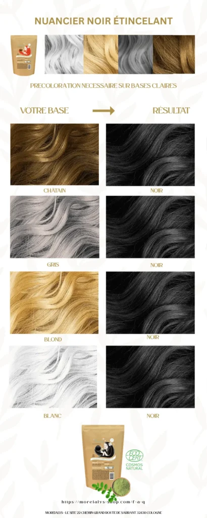 Nuancier Noir étincelant