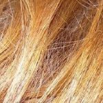 Moreialys - Blond d'or