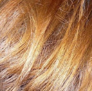 Blond doré - Moreialys