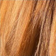 Moreialys-Blond-dor