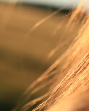 Reflets blonds - Moreialys