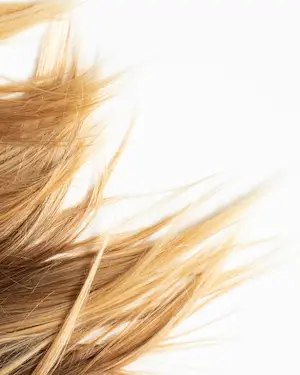 Henne blond cheveux - Moreialys